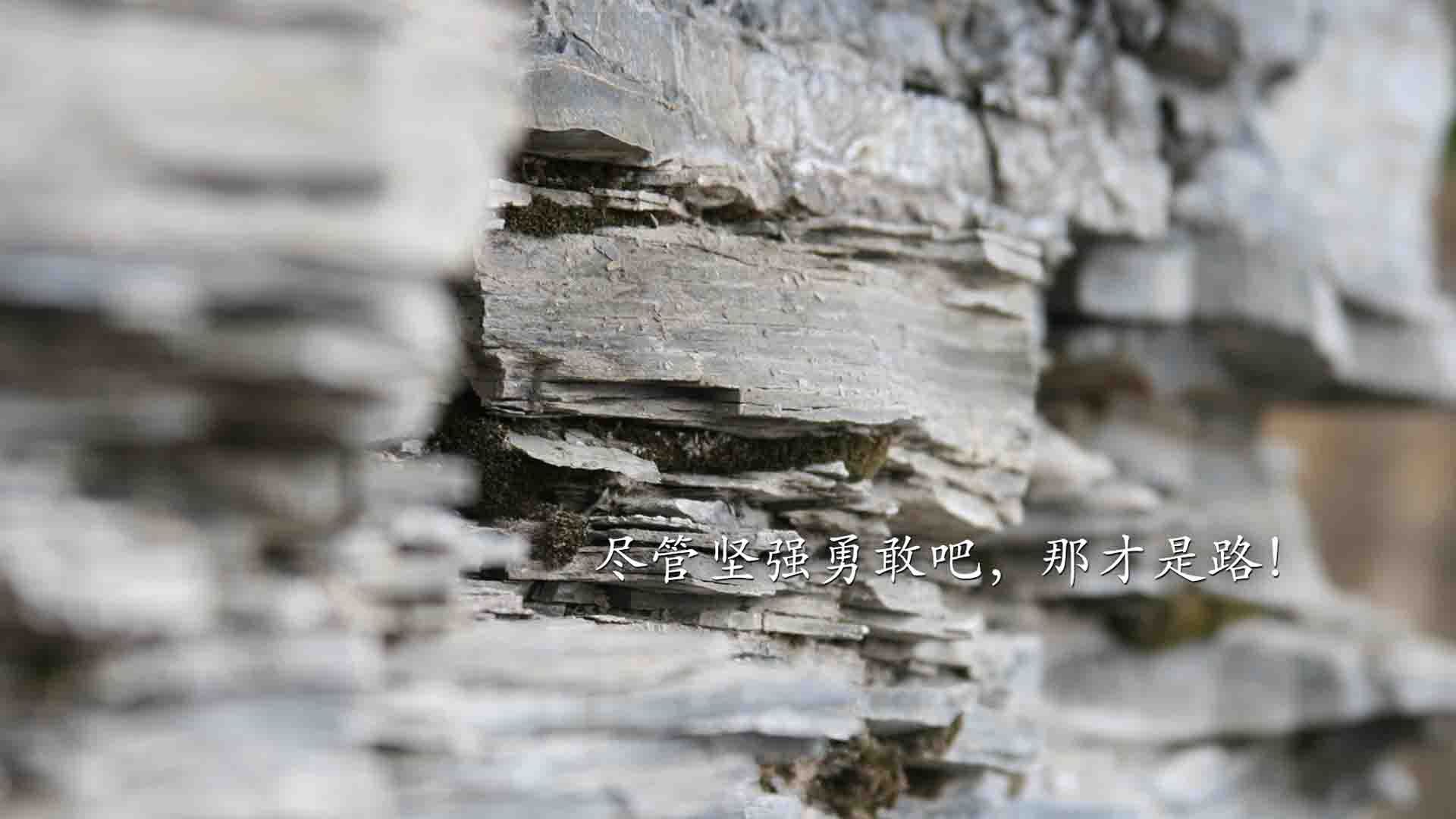 新加坡队在国际乒联混合团体世界杯上的出色表现分析,新加坡乒乓球对