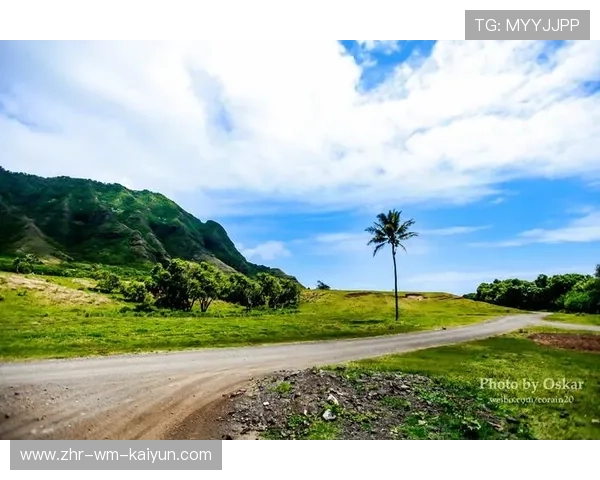 嘉兴联合银行前锋眼光独到，助力球队进球得分，嘉兴银联商务有限公司