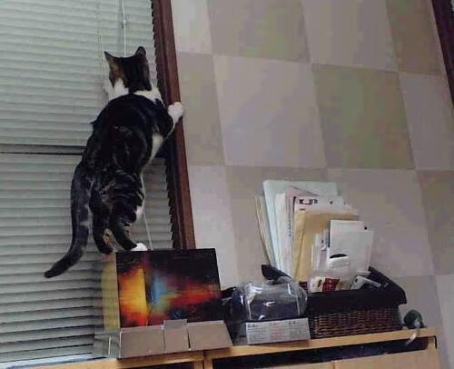 外线球员节奏错位是否优于强行出手，外线球员是什么位置