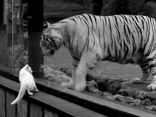 开云平台-足球俱乐部青训发展持续推进，足球俱乐部青训发展持续推进的措施